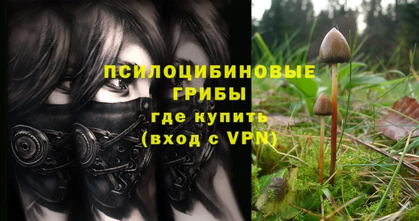 гидропоника Абаза