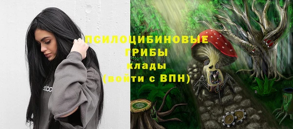 apvp Алексеевка