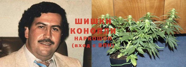 гидропоника Абаза