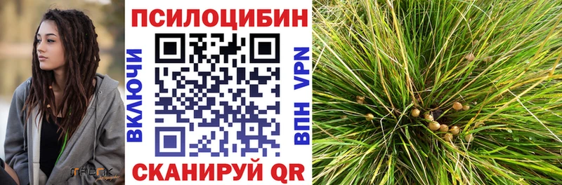 дарнет шоп Копейск Галлюциногенные грибы Psilocybe