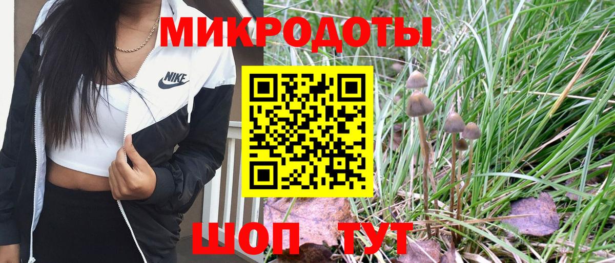 Псилоцибиновые грибы GOLDEN TEACHER  Вход с VPN  Галлюциногенные грибы мухоморы  Копейск 