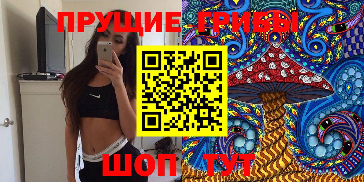 Галлюциногенные грибы Psilocybe Копейск